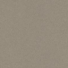 Hawksbill - Mushroom Vegan Leather | Phillipe Romano