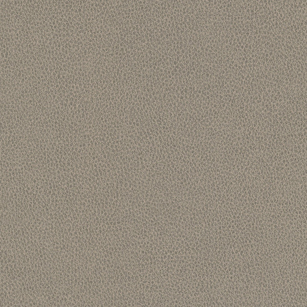Hawksbill - Mushroom Vegan Leather | Phillipe Romano