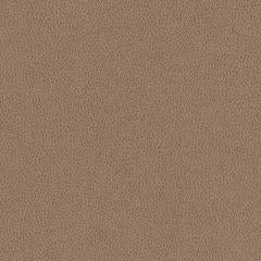 Hawksbill - Pebble Vegan Leather | Phillipe Romano