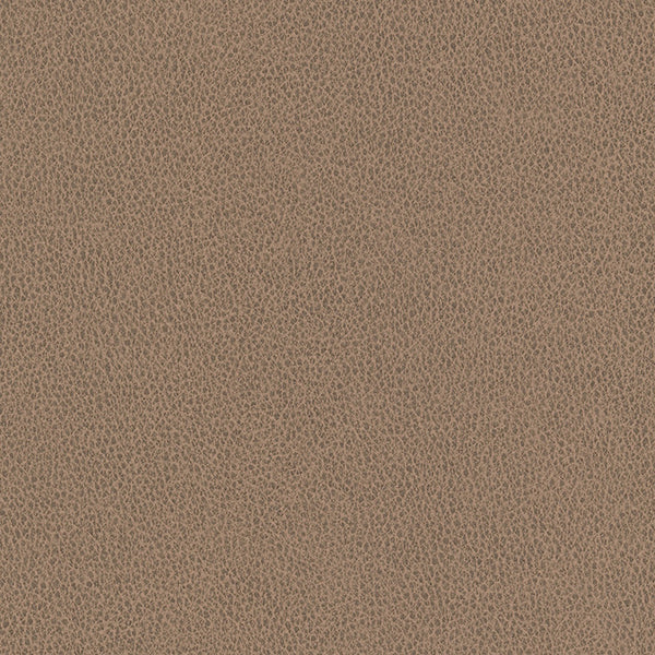 Hawksbill - Pebble Vegan Leather | Phillipe Romano