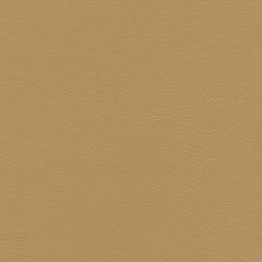 Luxury Cay - Toffee Vegan Leather | Phillipe Romano