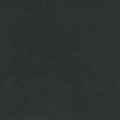 Luxury Cay - Slate Vegan Leather | Phillipe Romano
