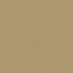Luxury Cay - Sand Vegan Leather | Phillipe Romano