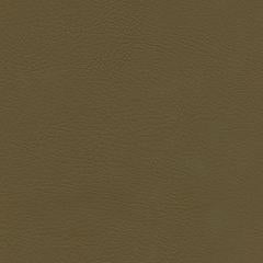 Luxury Cay - Sage Vegan Leather | Phillipe Romano