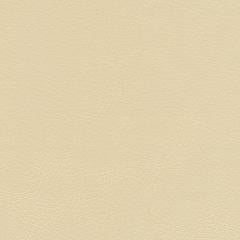 Luxury Cay - Cream Vegan Leather | Phillipe Romano