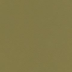 Luxury Cay - Moss Vegan Leather | Phillipe Romano