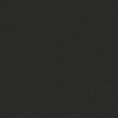 Estate Thomas - Slate Vegan Leather | Phillipe Romano