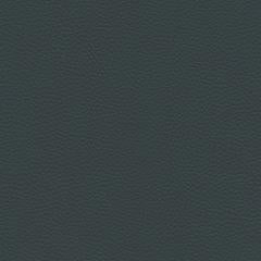 Estate Thomas - Ash Vegan Leather | Phillipe Romano