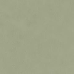 Muse - Pesto Silicone Hybrid | Phillipe Romano Wallcoverings