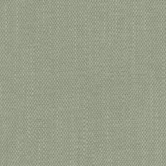 Pampas - Sage Sustainable Bio-Based | Phillipe Romano