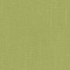 Pampas - Spring Sustainable Bio-Based | Phillipe Romano