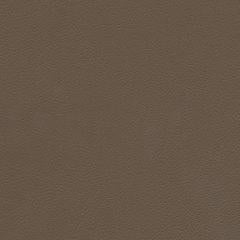 Aire Pebbled - Earthen Taupe