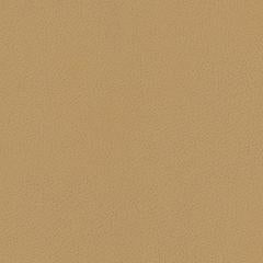 Aire Pebbled - Golden Wheat