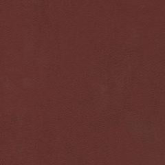 Aruba Pebble - Bordeaux Vegan Leather | Phillipe Romano