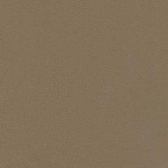 Aruba Pebble - Mushroom Vegan Leather | Phillipe Romano