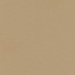 Aruba Pebble - Toffee Vegan Leather | Phillipe Romano