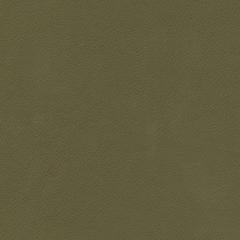 Aire Pebbled - Olive Grove