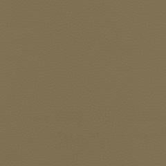 Aarden - Earthen Taupe