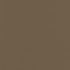 Aarden - Cocoa Bean