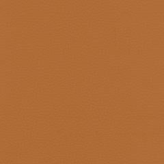 Anegada - Terracotta Vegan Leather | Phillipe Romano