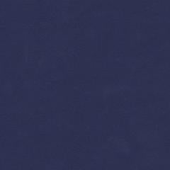 Iguana Cay - Sapphire Vegan Leather | Phillipe Romano
