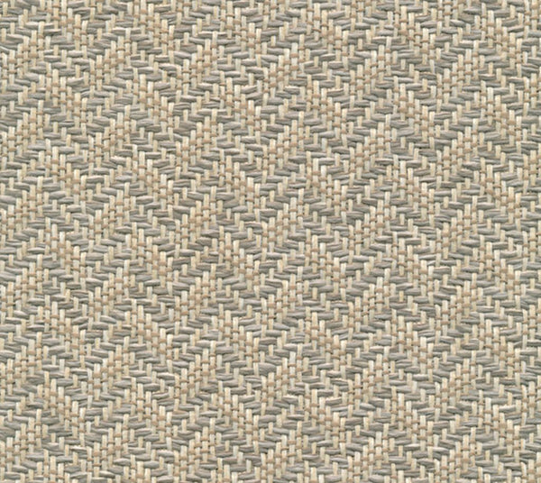 Coral - Vanilla | Commercial Fabric | Los Angeles Fabrics
