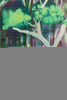 Banyan Deep Forest - Deep Forest - Image 4
