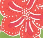 Multi Magenta Orange on Green