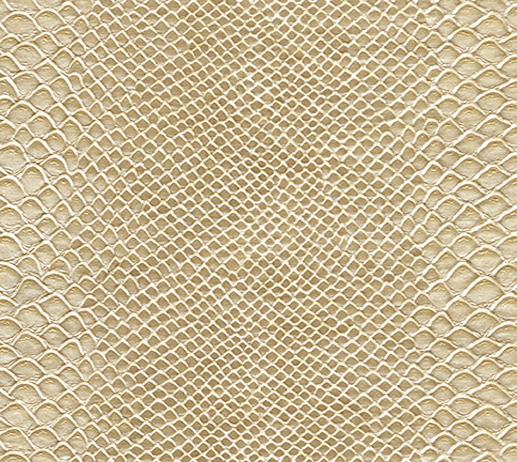 Monsoon - Spectra Wallcovering | Phillipe Romano