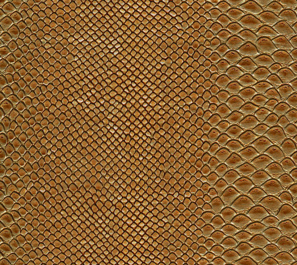Monsoon - Nectar | Commercial Fabric | Los Angeles Fabrics