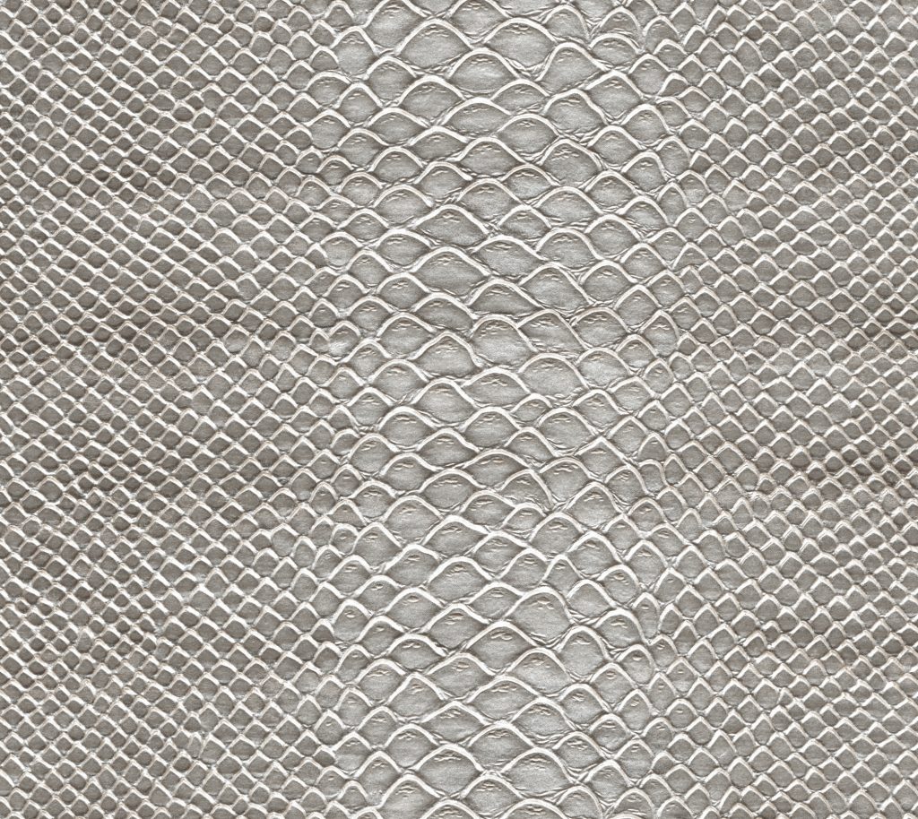 Monsoon - Tusk Wallcovering | Phillipe Romano