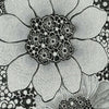 Anemones Black & White