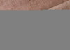 Tintura - Umber - Image 6