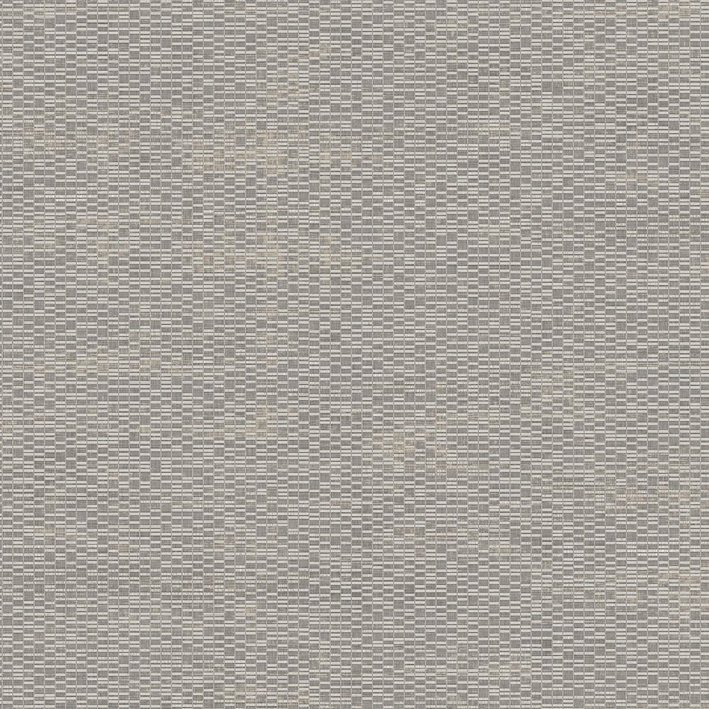 Ascoli - Lichen Mylar | Versa Designed Surfaces