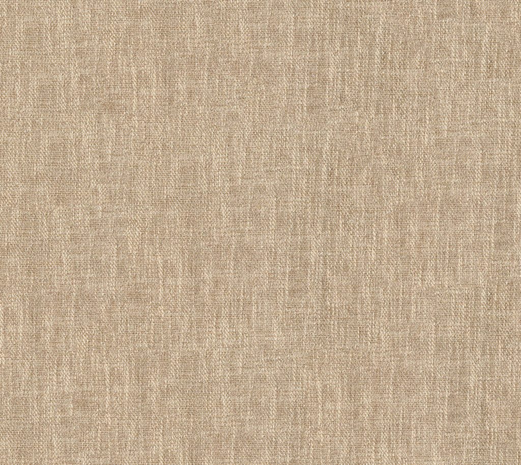 Macaw - Pilgrim Wallcovering | Phillipe Romano