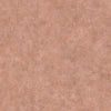 Riz Single Corail, Corail