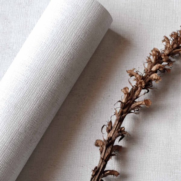 Raphia Taupe | Coordone Europe
