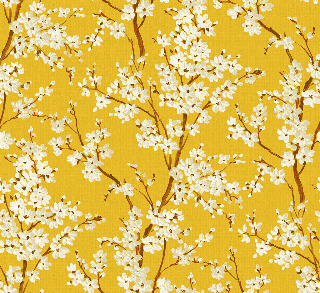 Cherry Blossom Amber, Amber