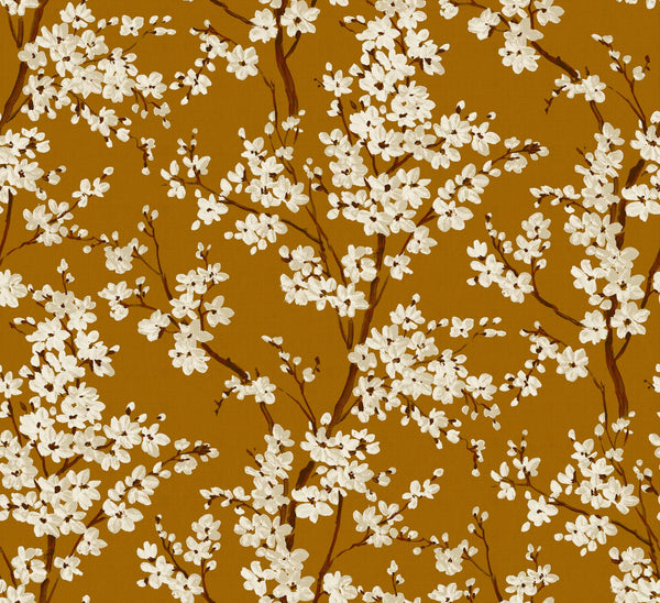 Cherry Blossom Honey, Honey Wallcoverings | Coordonné