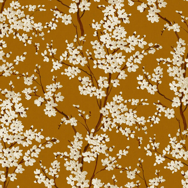 Cherry Blossom Honey | Coordone Europe