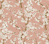 Cherry Blossom Rose, Rose