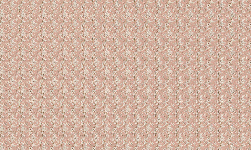 Cherry Blossom Rose, Rose