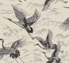 Imperial Ibis Nacre, Nacre