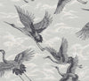 Imperial Ibis Swan, Swan