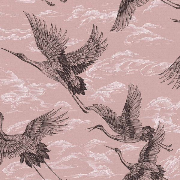 Imperial Ibis Rose | Coordone Europe