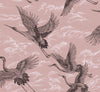Imperial Ibis Rose, Rose