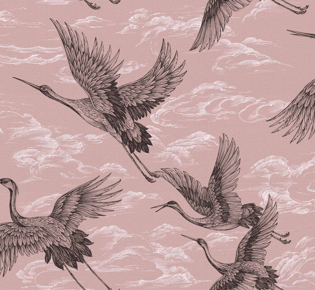Imperial Ibis Rose, Rose