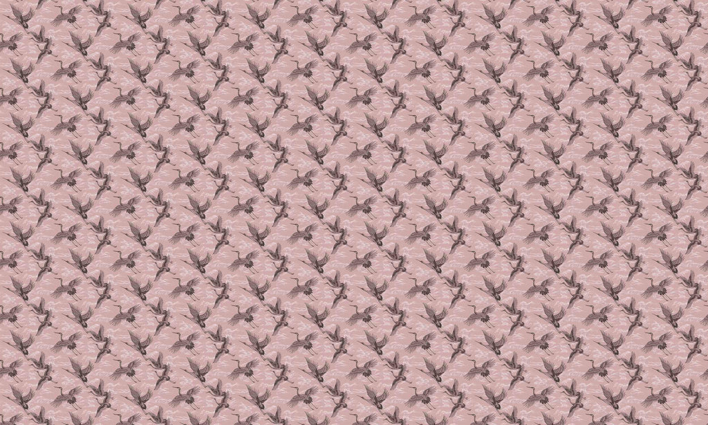Imperial Ibis Rose, Rose