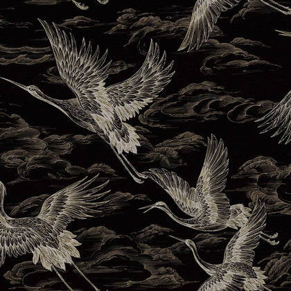 Imperial Ibis Onyx | Coordone Europe