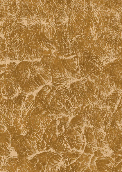 Sepia Curry | Coordone Europe